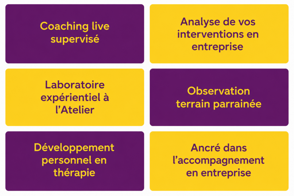 asterRe_excellenes